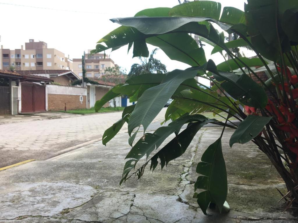 Efferus Hostel Ubatuba Exterior photo